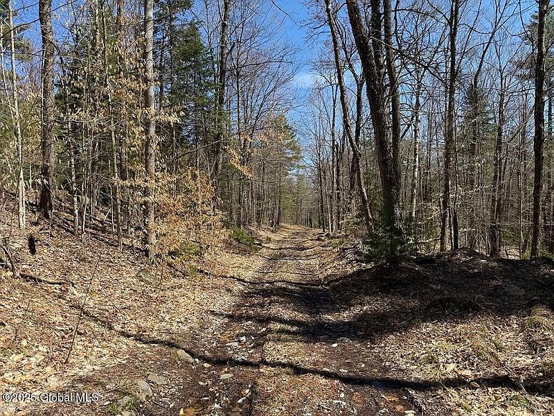 3rd image of L12.111 Thilo Road