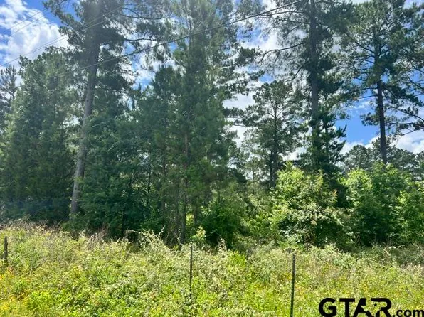 E Fm 323, Palestine, TX 75801