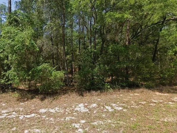 8566 N Spikes Way, Citrus Springs, FL 34434