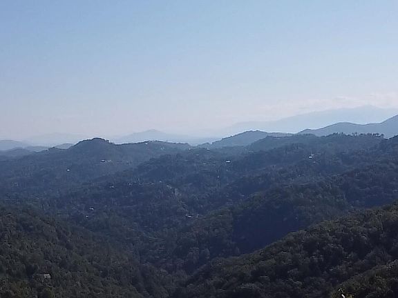 4th image of Overholt Trl