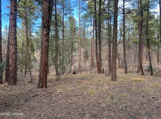 4041 S Gold Dust Trl, Show Low, AZ 85901