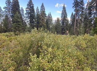 3-F-9 Silverthorn Ct, McCloud, CA 96057