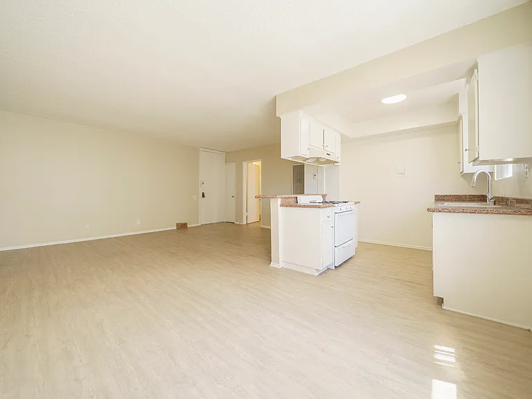 1bedroom's unit kitchen and livingroom