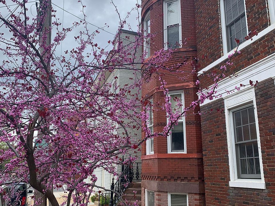 1st image of 904 Prince St Unit 102