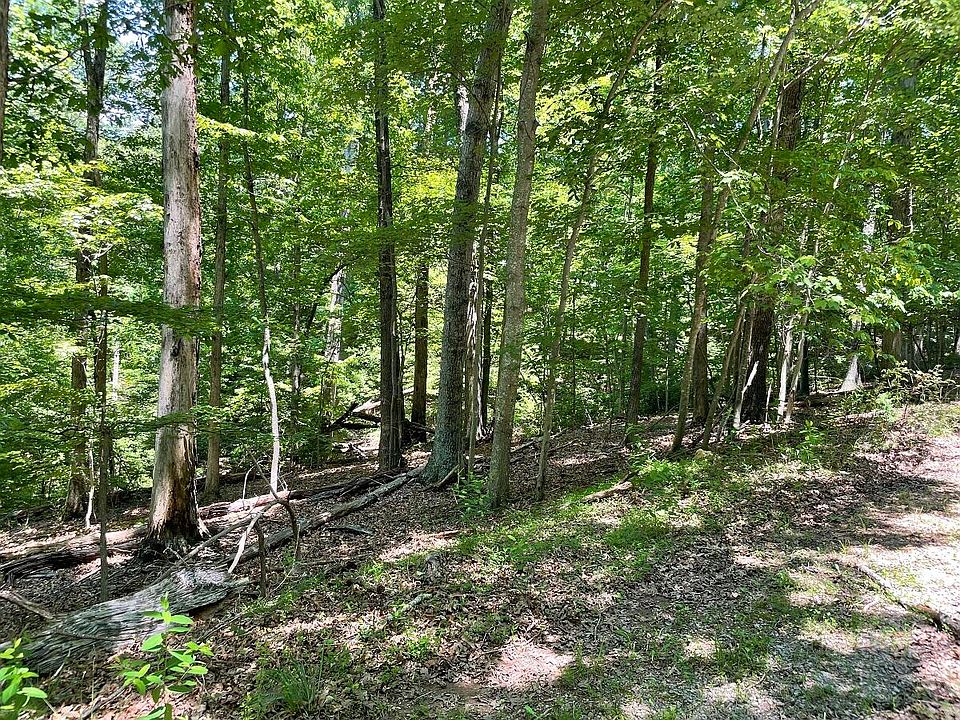 0 Cedar Bluff Ln Hardy VA Zillow