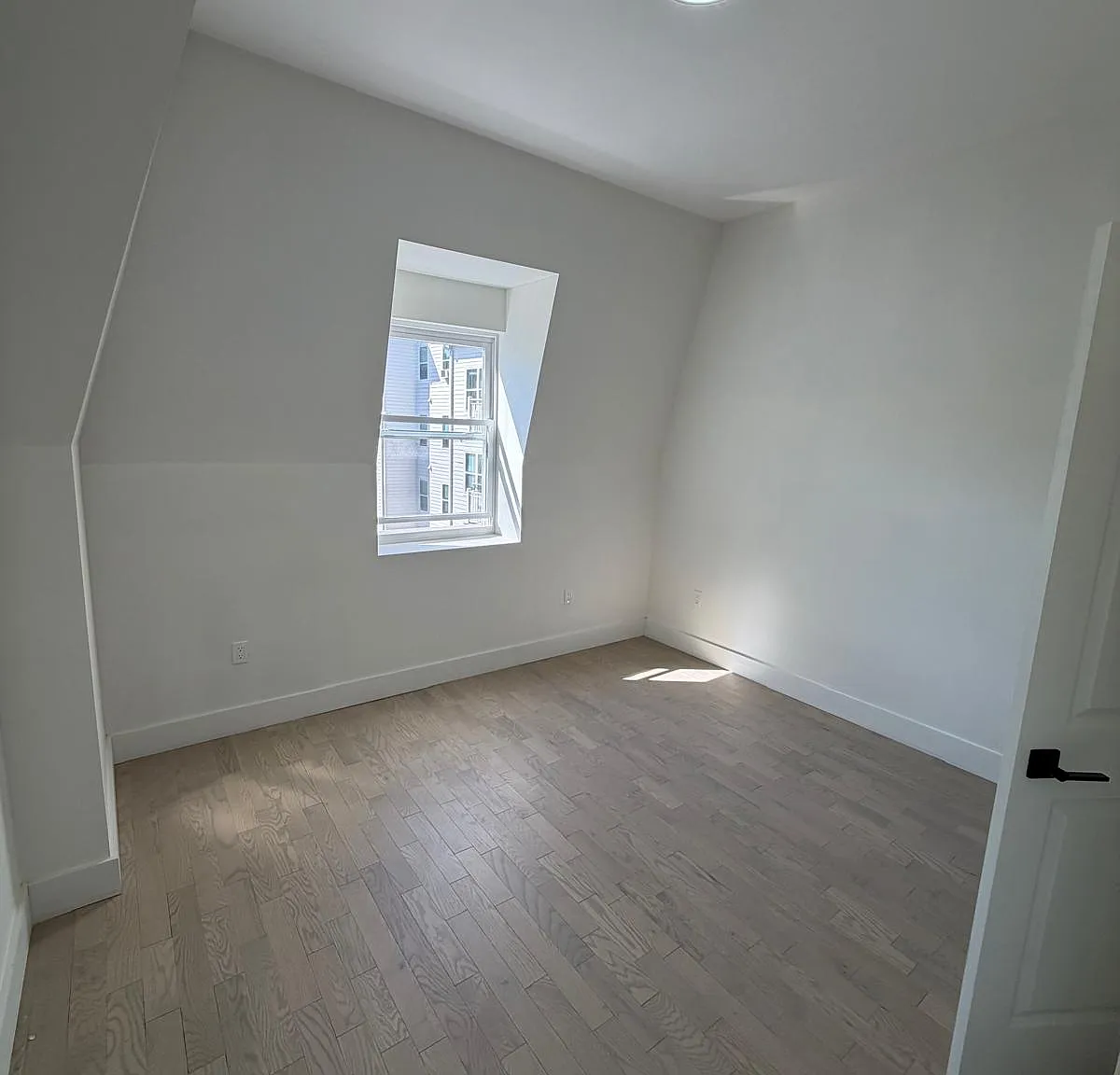 1 bed, $1,650 — Photo 4