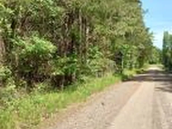 (undisclosed Address), Delaware, AR 72835