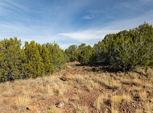 7 County Road 8111 #673, Concho, AZ 85924