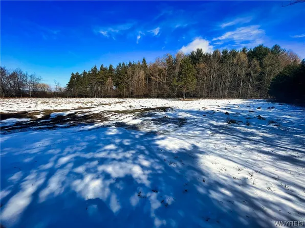 11298 Bolton Rd #6, Delevan, NY 14042