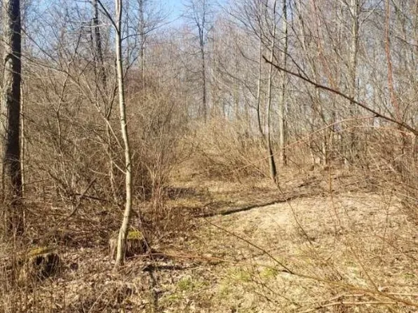0 Pilgram Rd, Hadley, PA 16130
