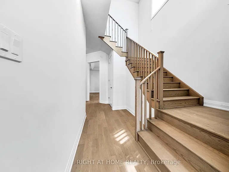 3 Speciosa St #UPPER — Photo 20
