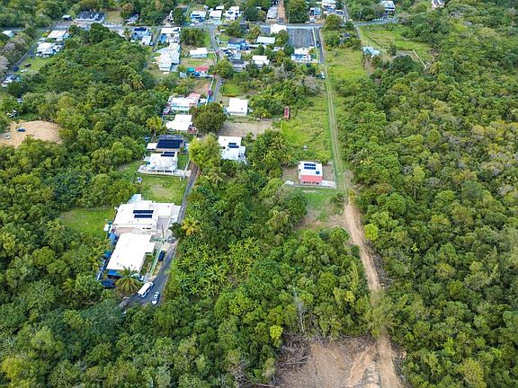 5th image of Bo Factor #2