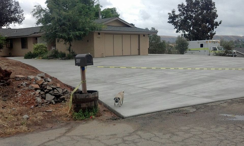 1st image of 423 Stockalper Ln