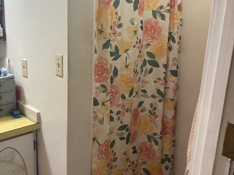 619 Cumberland St #3 — Photo 10