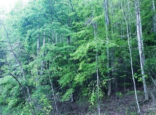 Winchester Cove Rd, Hayesville, NC 28904