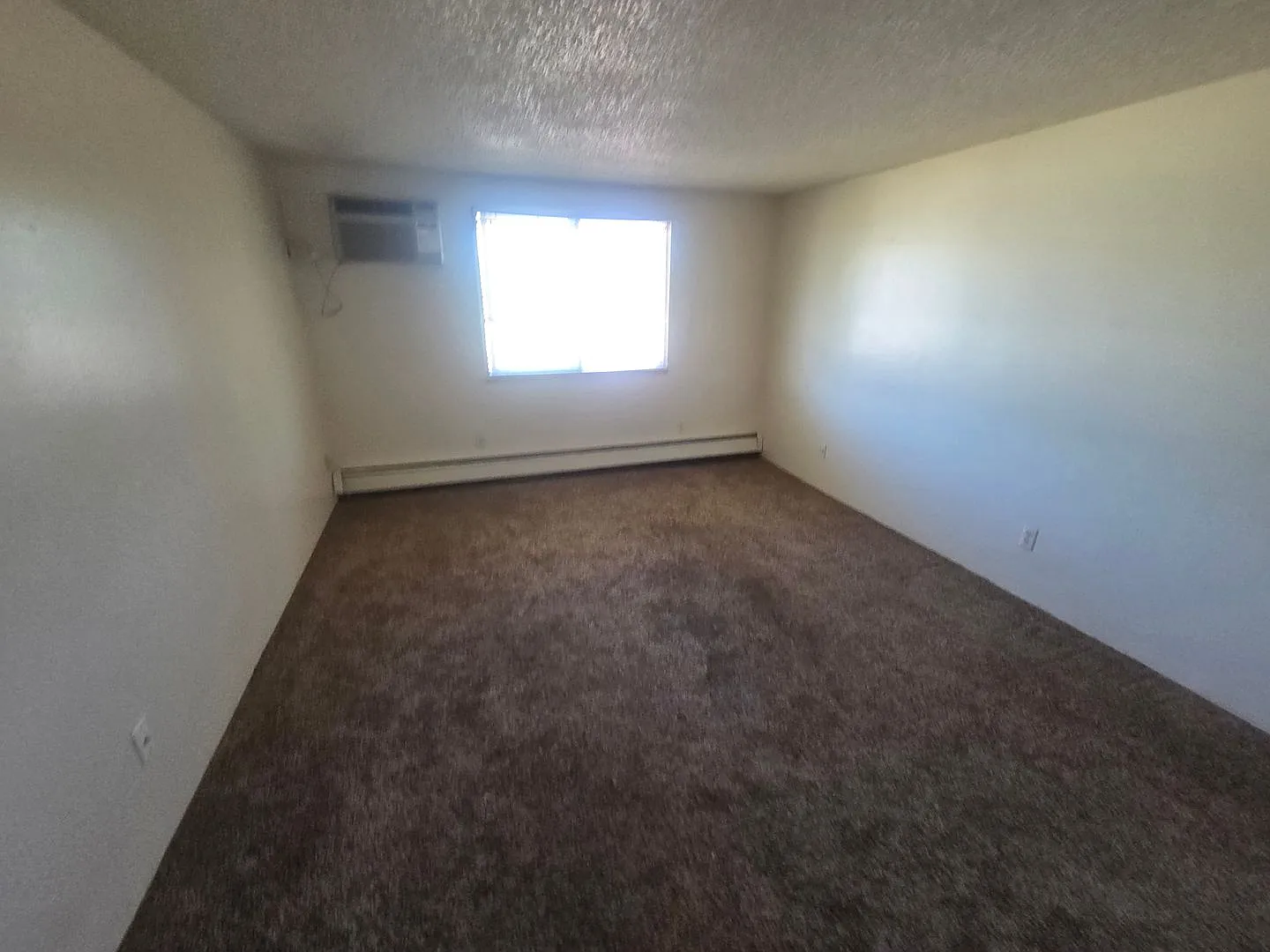1 bed, 1.0 bath, $749 — Photo 4