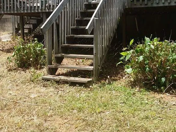 51 Oakwood Dr, Dahlonega, GA 30533