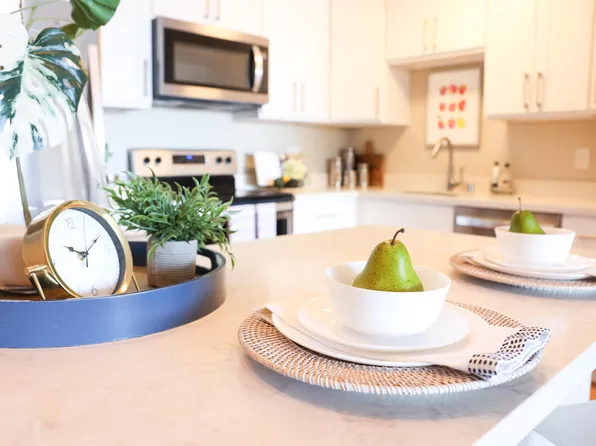 555 Pierce St APT 427, Albany, CA 94706