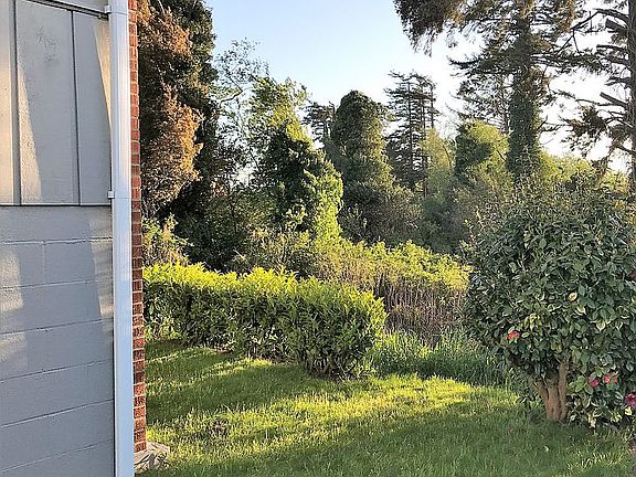 bordering woods to the West