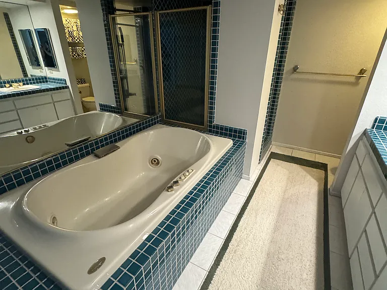 Master bathroom. Bathtub has four hydro-jets for a jacuzzi-like experience. The lighting over the tub operates on its own dimmer switch for optimal relaxation.