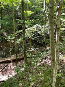 Ridge Road Ridge Rd #19, Mount Morris, NY, 14510