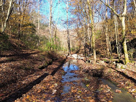 15th image of 0 Hollis Creek Rd S