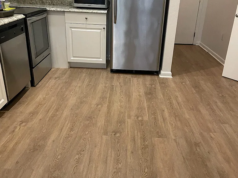 2411 W Horatio St #518 — Photo 8
