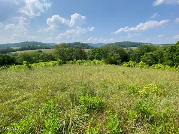 5303 Mulberry Gap Rd, Sneedville, TN 37869