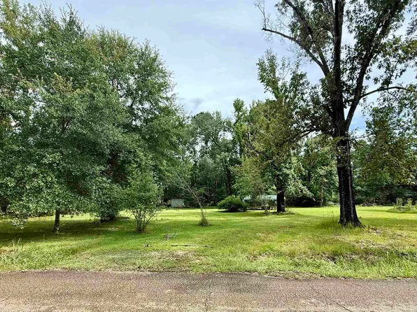 Lots B & C Steve Hughes Rd, Walker, LA 70785