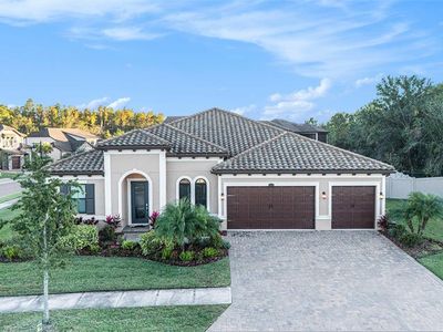 28726 Picana Ln, Wesley Chapel, FL, 33543