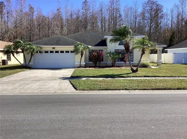 116 Blackwater Ct, Kissimmee, FL 34743