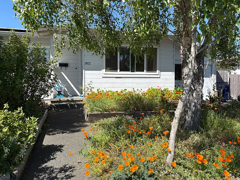 Sunny, south-facing front yard