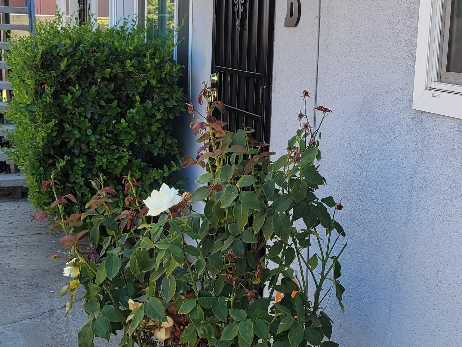 2 bed, 1090 sqft, $1,300 — Photo 1