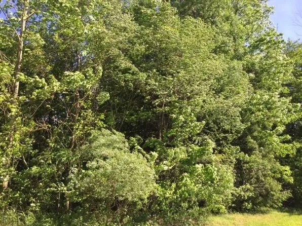 4817 Palomino Ct, Erie, PA 16506