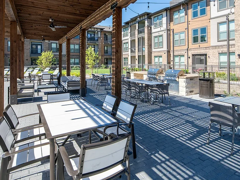 Outdoor Grilling and Gathering Area