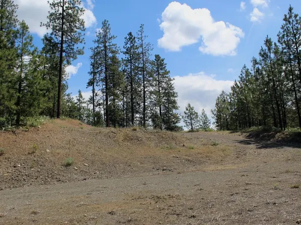 Flicker Sontag Ridge Dr Lot 4, Davenport, WA 99122
