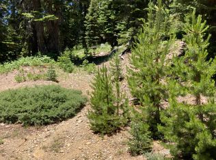 221 Norton Meadows Rd, Bucks Lake, CA 95971