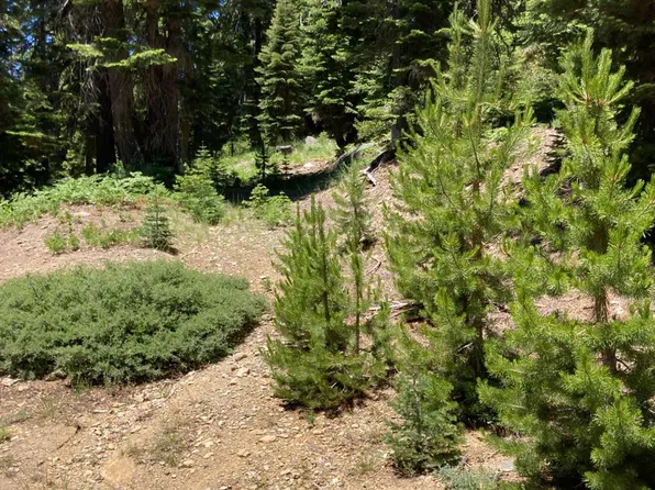 221 Norton Meadows Rd, Bucks Lake, CA 95971