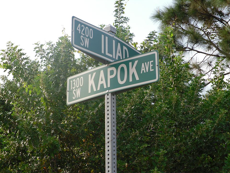 1st image of 1381 SW Kapok Ave