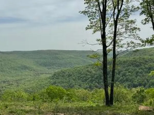 TRACT E State Highway 7, Jasper, AR 72641