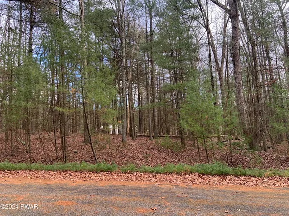 LOT 1 Billy Ln, Tafton, PA 18464