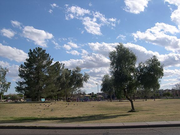 This is your view of the park!