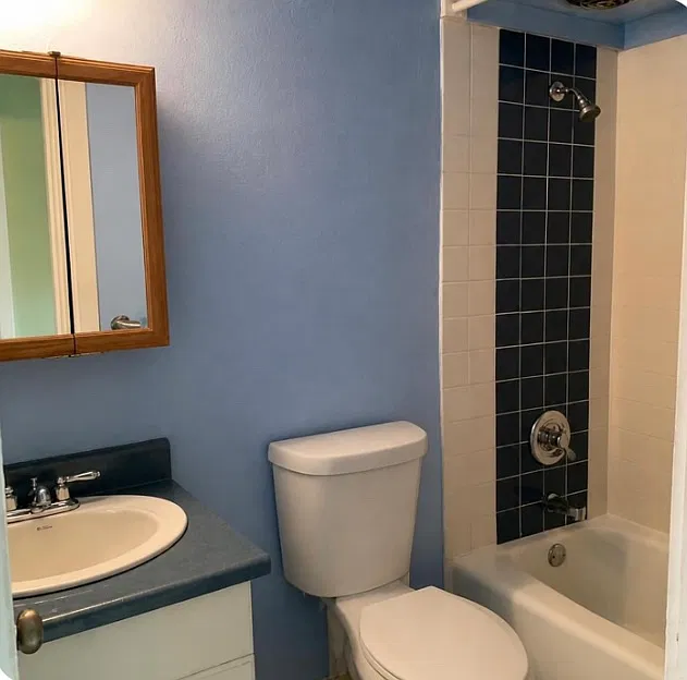 2 bed, 523 sqft, $2,500 — Photo 3