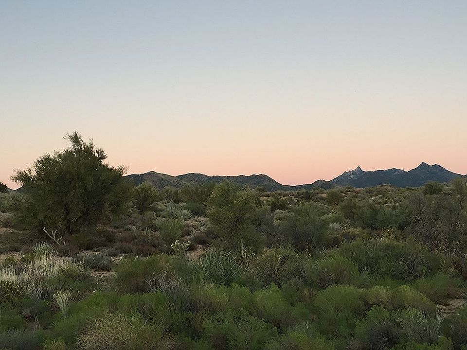 2nd image of S Paloma Blanca