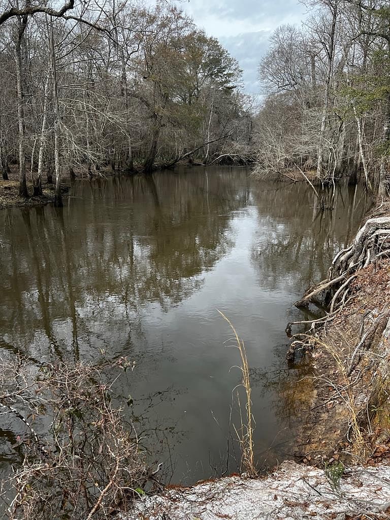 0 Ed Yeomans, Bartow, GA 30413 MLS 45960 Zillow