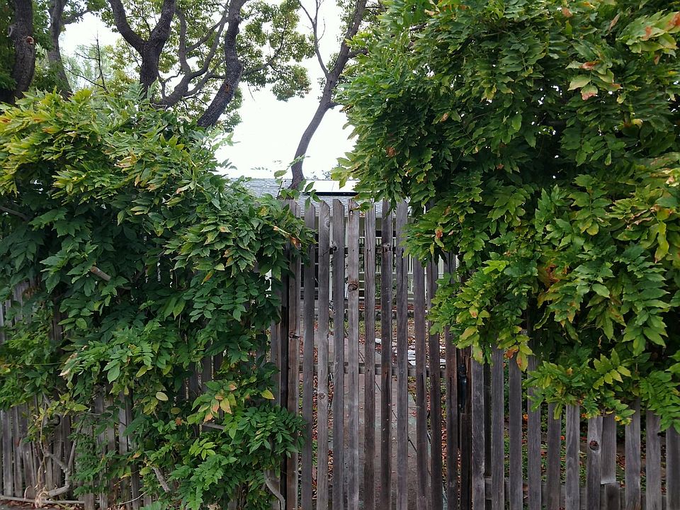 front fence, with wisteria