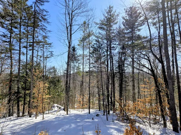 Lot 10C Staples Pond Road, Temple, ME 04984