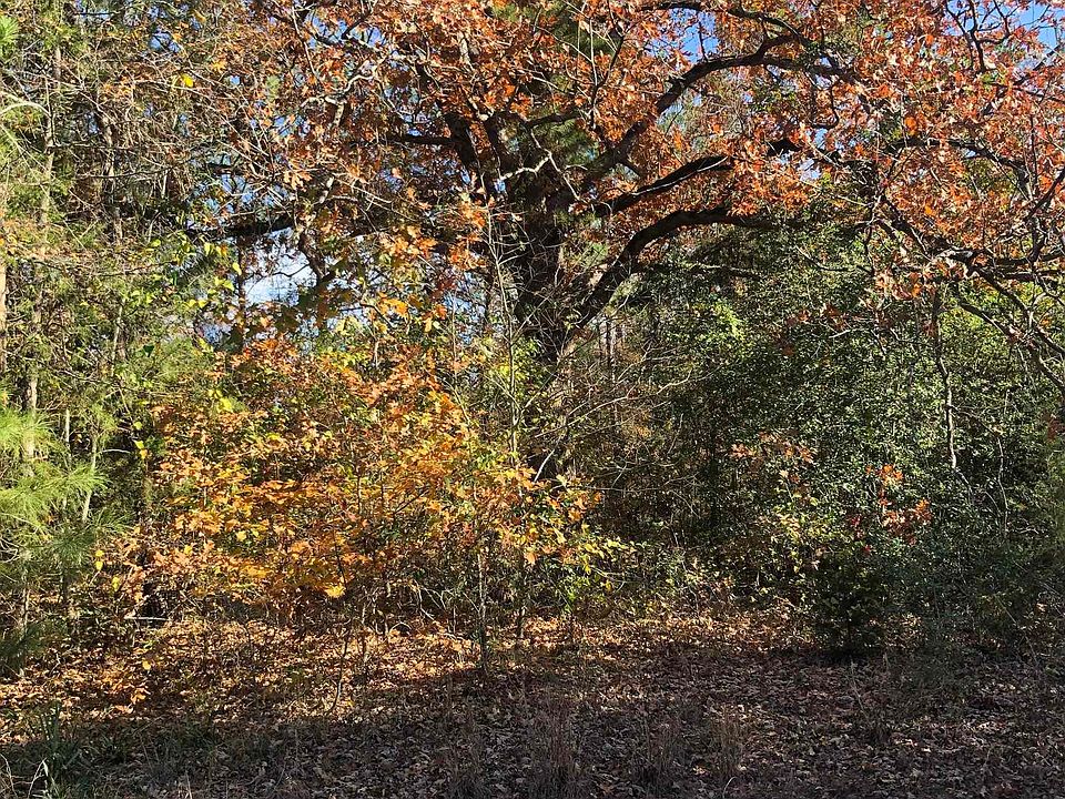 2nd image of Private Road 3044