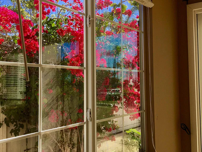 From the dining room