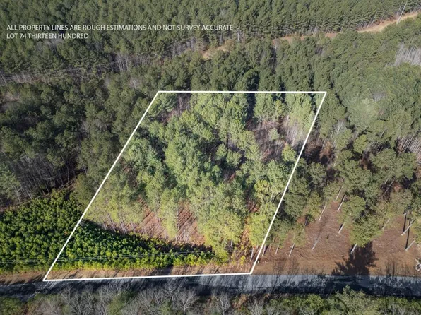 74 1300th, Blairsville, GA 30512